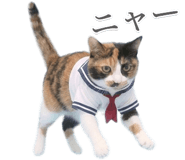 839917128