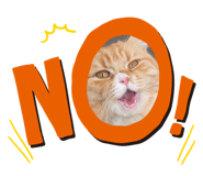 839917420