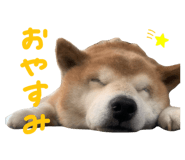 839918298