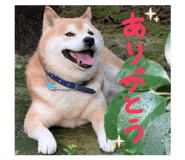 839918300