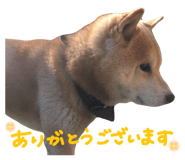 839918301