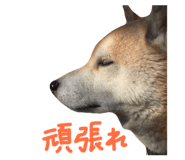 839918303