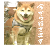 839918307