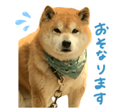 839918309