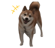 839918317
