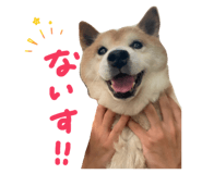 839918318