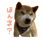 839918320
