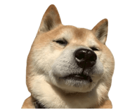 839918328