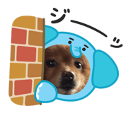 839919396