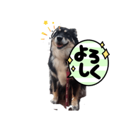 839919397