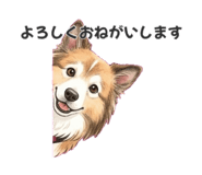 839919494