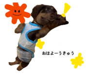 839919520