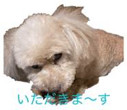 839919944
