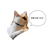 839919953
