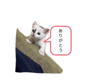 839919968