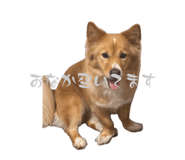 839919973