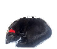 839920222