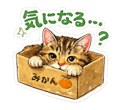 839921265