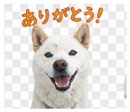 839925642