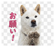 839925650