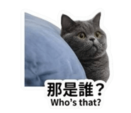 839926333