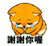 839928754
