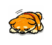 839929065
