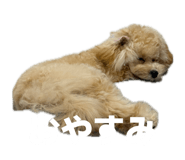 839929195