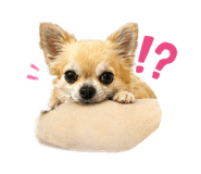 839929376