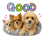 839929378