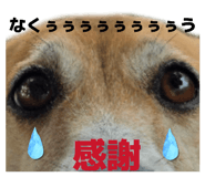 839930423