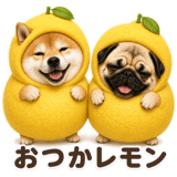 839930443