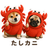 839930457