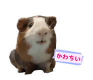 839932367
