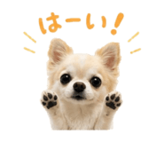 839932506
