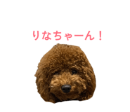 839932542