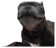 839932583