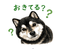 839932587