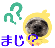 839932806