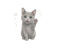 839932810