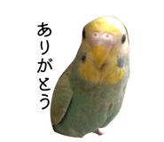 839932949