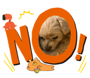 839933062