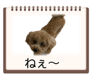 839933211