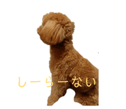839933216