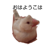 839933228