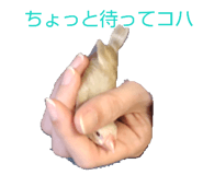 839933235