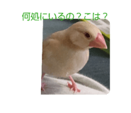 839933241