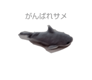 839933243