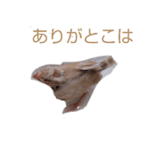 839933245