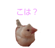 839933248